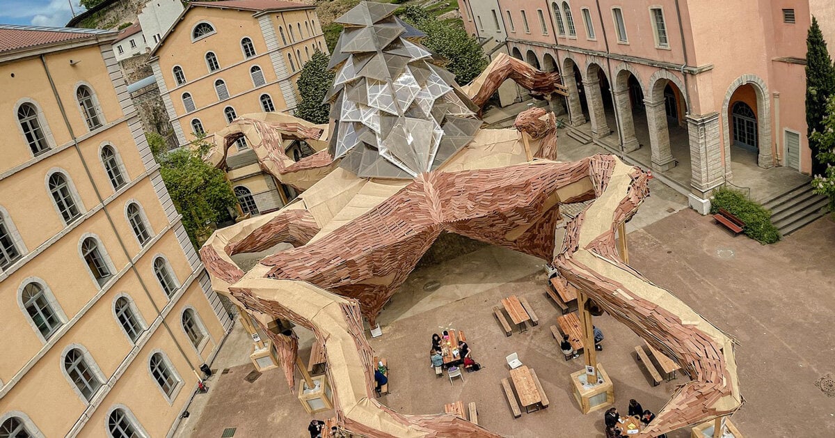 kraken installation made of reclaimed wood spreads its tentacles in lyon [Video]