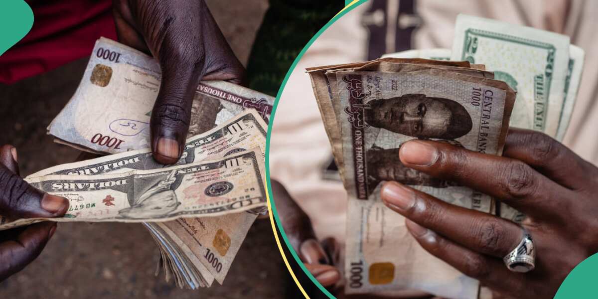 Naira Crashes Again Against US Dollar at Official Market As CBN Governor Makes Promises [Video]