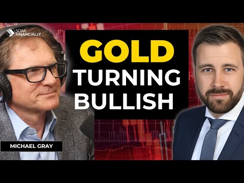 GOLD Sentiment Check: BULLISH! | Michael Gray [Video]