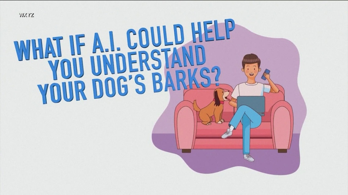 Researchers using AI to better understand dogs’ barks [Video]