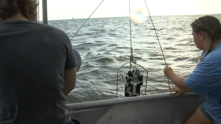 Researchers team up to test our local waterways [Video]