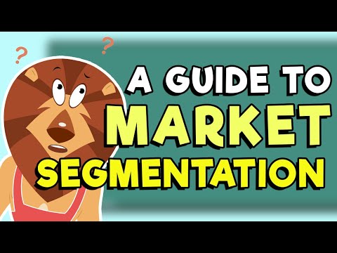 A Guide To Market Segmentation | The Business Safari [Video]