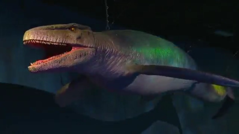 Mystic Aquariums Dino Seas exhibit is immersive experience [Video]