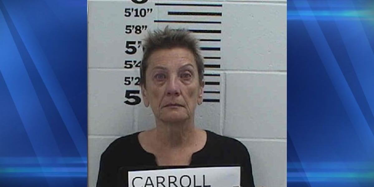 Lonna Carroll makes first court appearance after Grand Theft arrest. [Video]