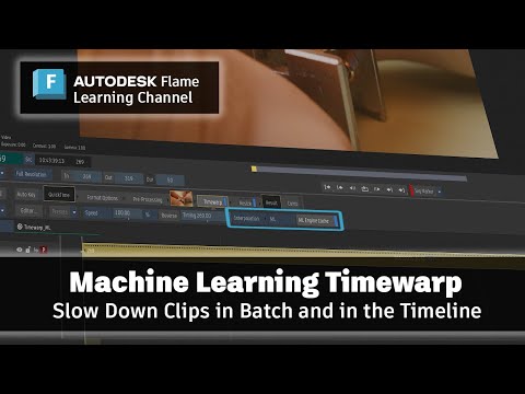 Machine Learning Timewarp – Flame 2025.1 [Video]