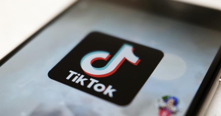 TikTok hit with U.S. lawsuit alleging illegal collection of childrens data – National [Video]