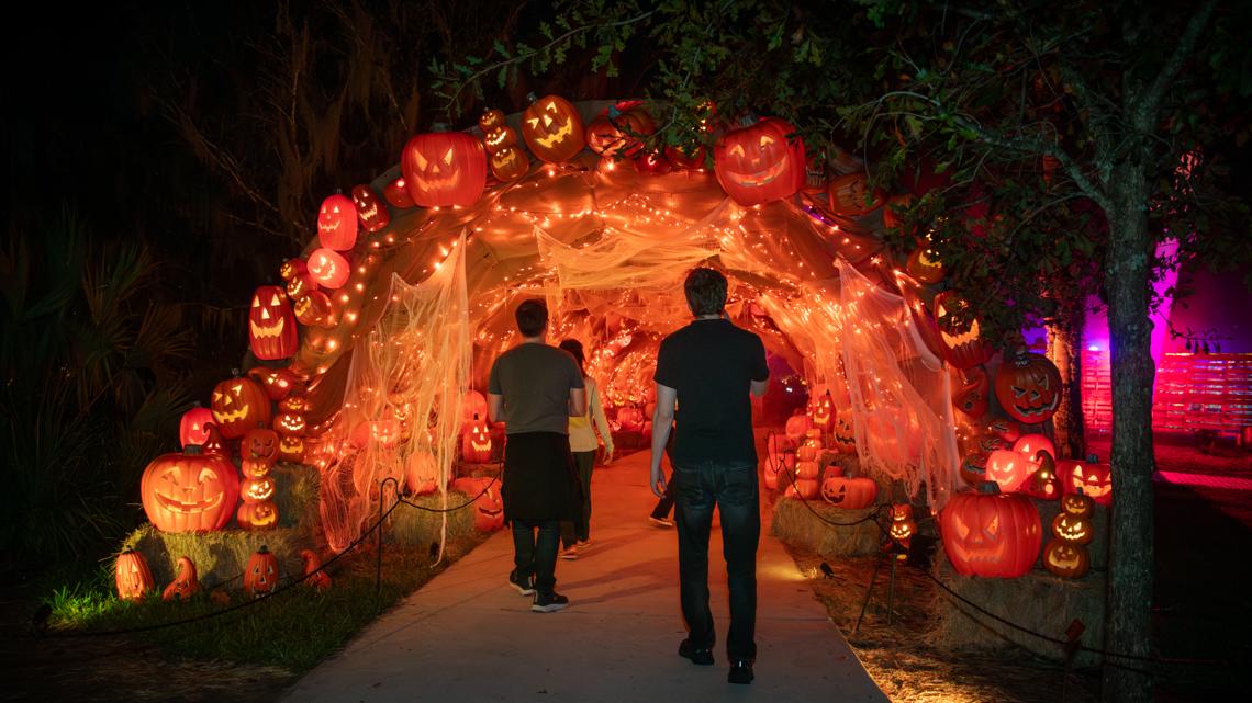 Halloween-themed shows coming to San Antonio Botanical Garden [Video]