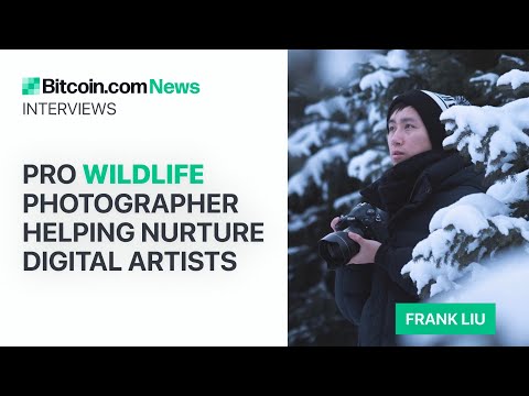 MUSE HIVE, Helping Nurture Digital Artists: Bitcoin.com News Interviews [Video]