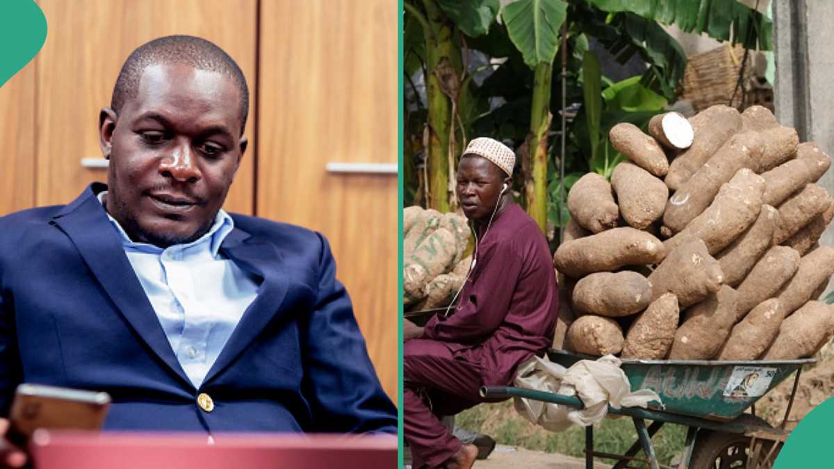 Nigerian Man Cries out, Laments One Tuber of Old Yam Being Sold at N6,000 [Video]