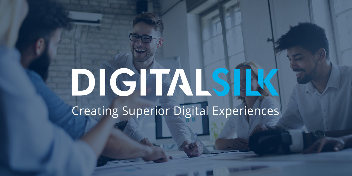 Professional eCommerce Consulting Services | Digital Silk [Video]