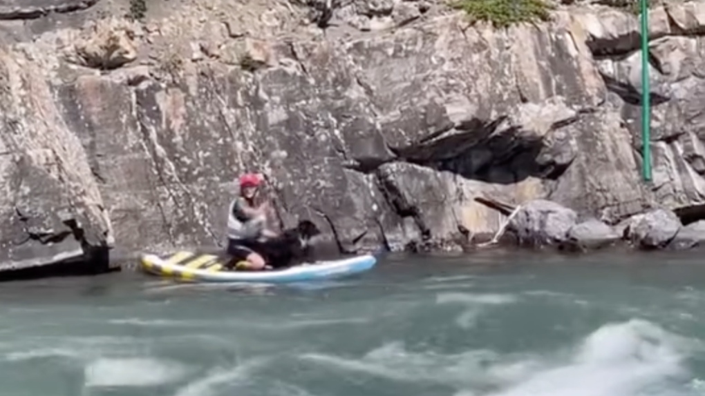 Paddle boarder saves drowning dog from Kananaskis River [Video]