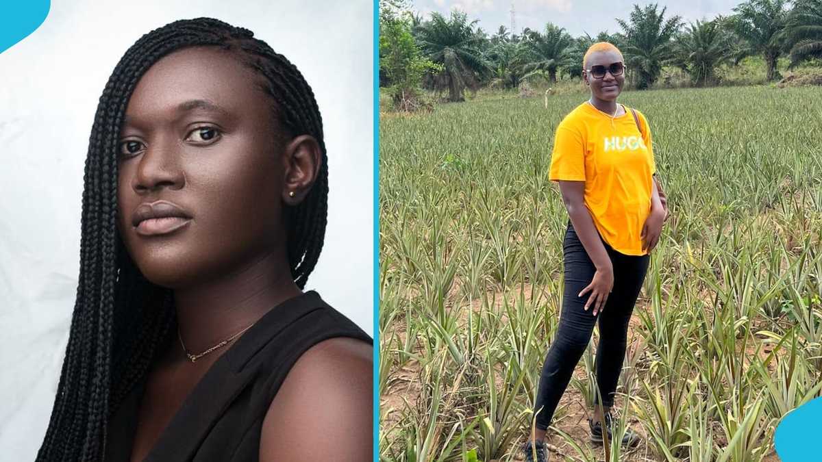 Ghanaian Female Agripreneur Gives Cost Breakdown Of Pineapple Farming Business [Video]