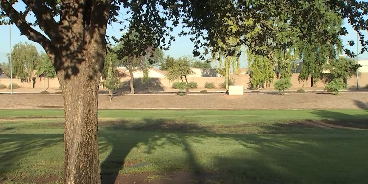 City of Peoria begins removing sections of grass from parks to conserve water [Video]