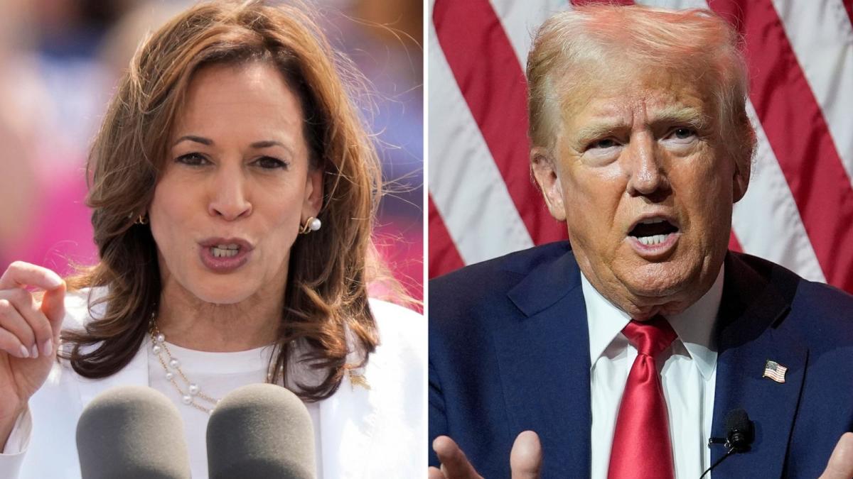 While voters think Kamala Harris has empathy, she struggles on key issues of economy: ANALYSIS [Video]