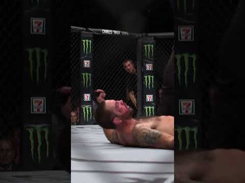 AllFreeFightVideos | FightVideoMMA | UFC – MMA – Mixed Martial Arts Fight Videos Online: OMG the sound of this kick