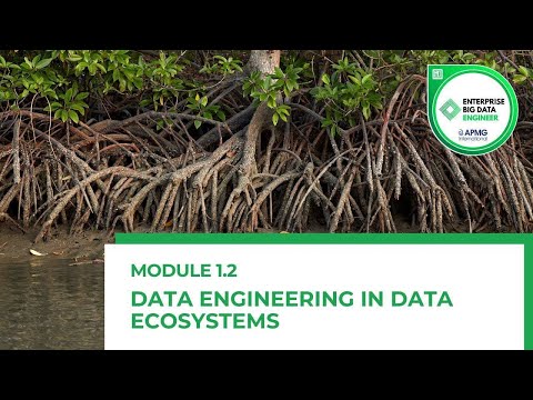 Data Engineering vs. Data Analysis vs. Data Science | Understanding the Key Differences [Video]