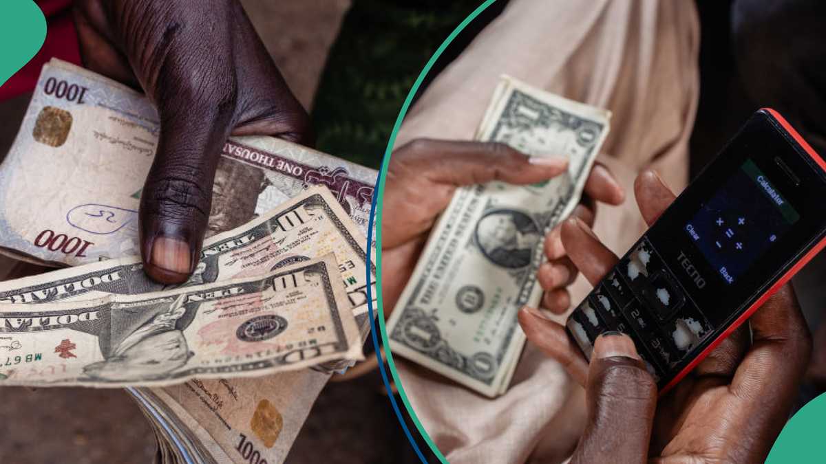 There Is a Need: Expert Speaks As Banks, Traders Sell Dollar at New Exchange Rate As Naira Weakens [Video]