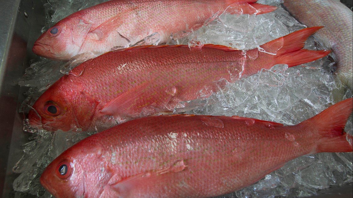 Mississippi seafood distributor pleads guilty to decadeslong fish mislabeling scheme [Video]