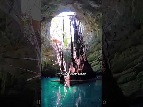 POV: You’re Visiting Cenote Silbido [Video]