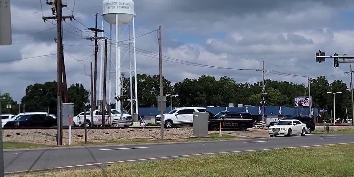 Large first responder presence on 165 North, near Horseshoe Lake Road [Video]