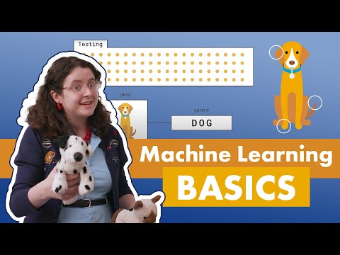 Machine Learning Basics [Video]