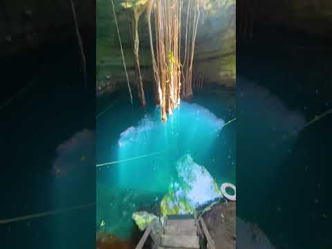 The Stunning Cenote Dos Bocas [Video]