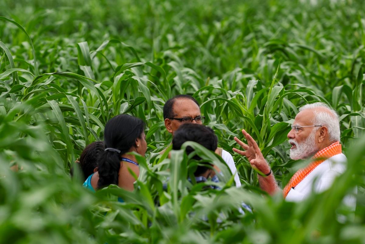 Centre to create Aadhaar-like digital IDs for 11 crore farmers by FY27 [Video]