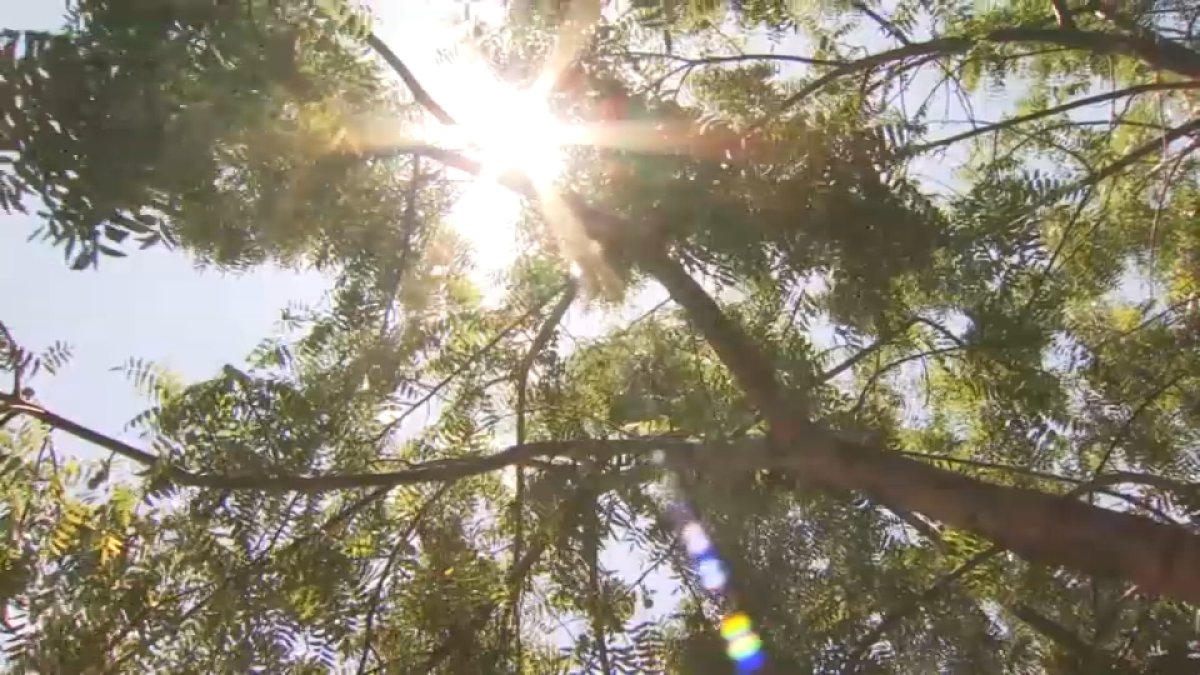 Google uses AI to track heat waves  NBC Bay Area [Video]