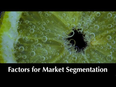 Factors for Market Segmentation (3:40) [Video]