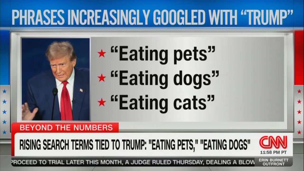 Enten Marvels At ‘Eating Pets’ Being Googled Alongside Trump [Video]