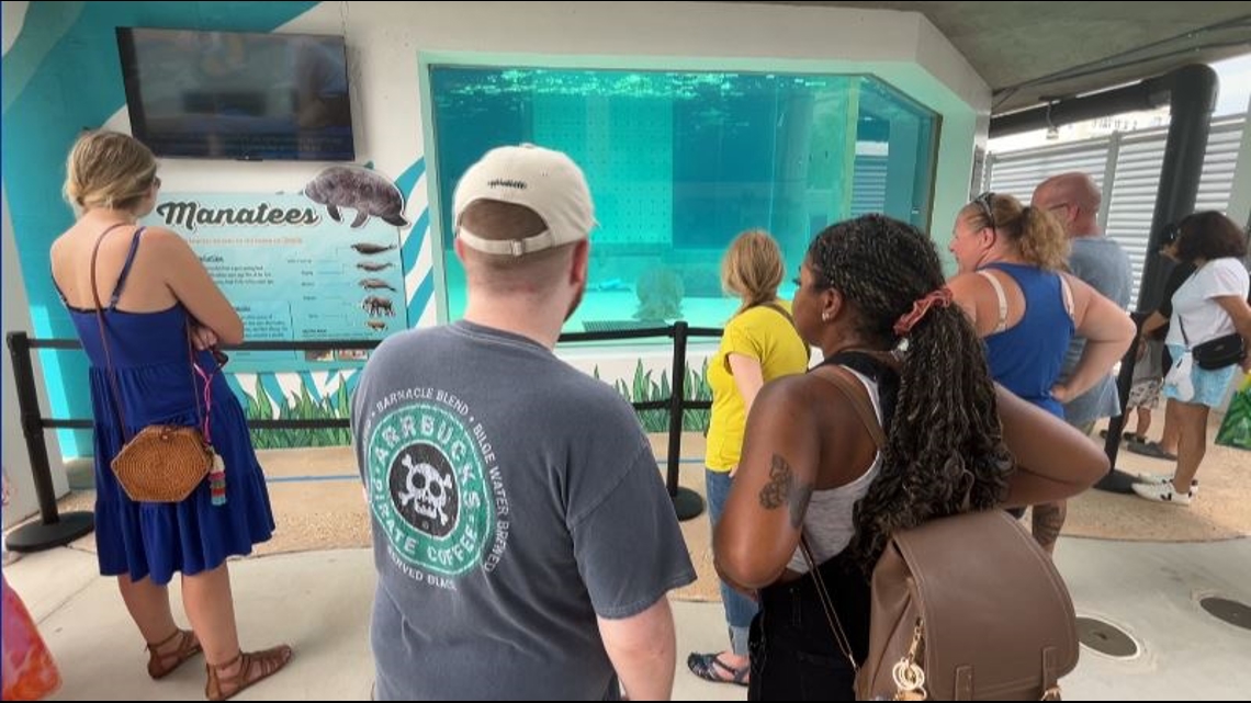 New manatee rehab center at Tampa Bay aquarium [Video]