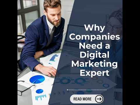 Why Companies Need a Digital Marketing Expert [Video]