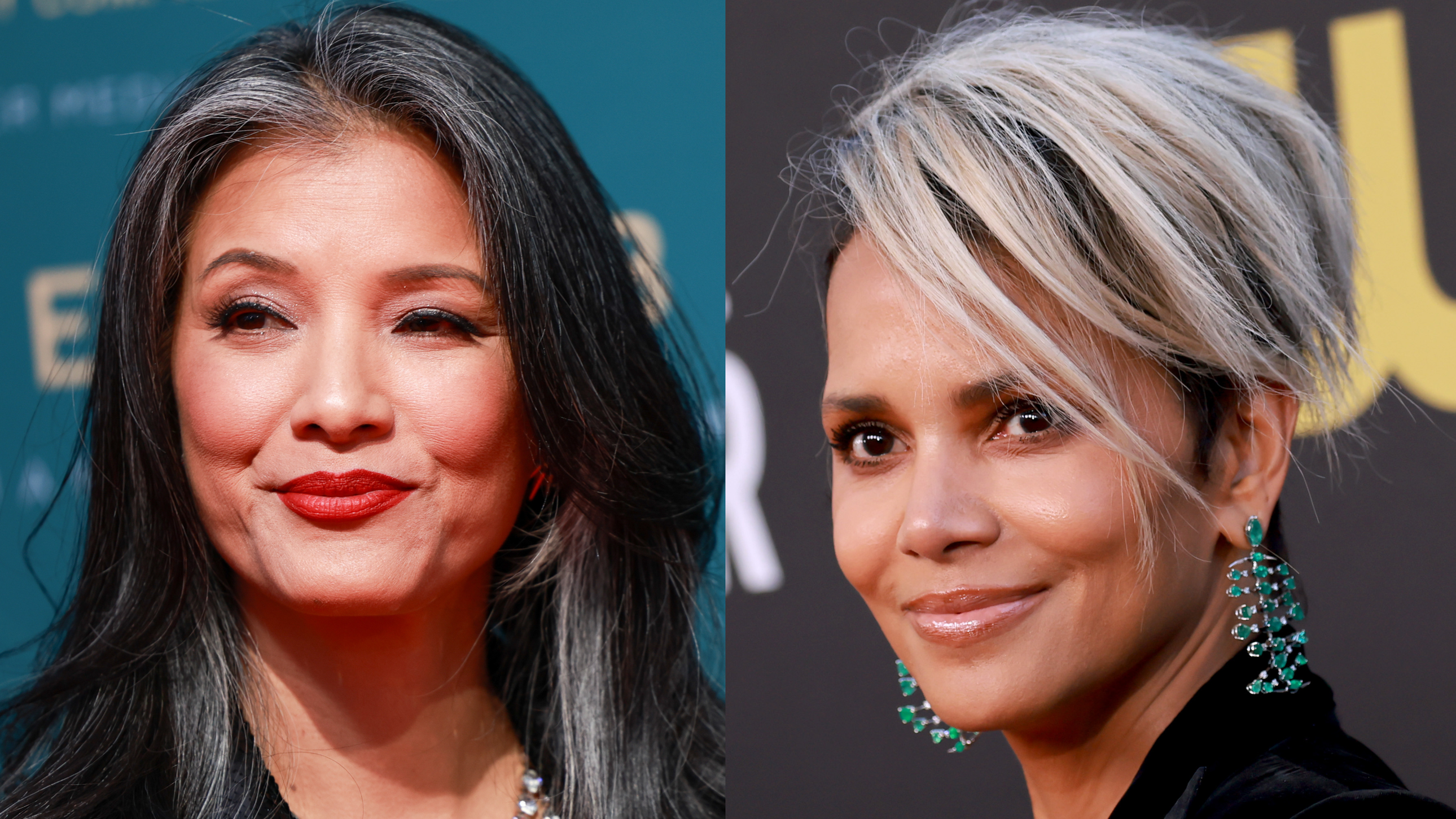 Gray Hair Color: 50 Coolest Ideas for 2024 [Video]