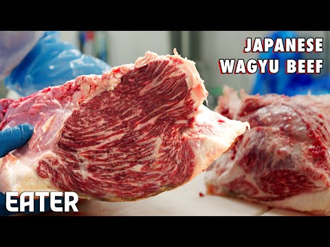 How a Team of Master Butchers Produces Top-Tier Wagyu Beef — Vendors [Video]