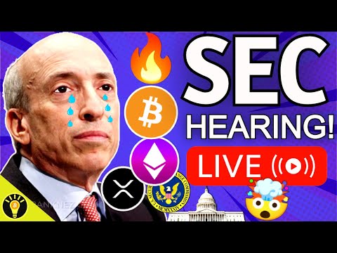 SEC Congress Hearing – Gary Gensler Gets Grilled 🔥 on Crypto! [Video]