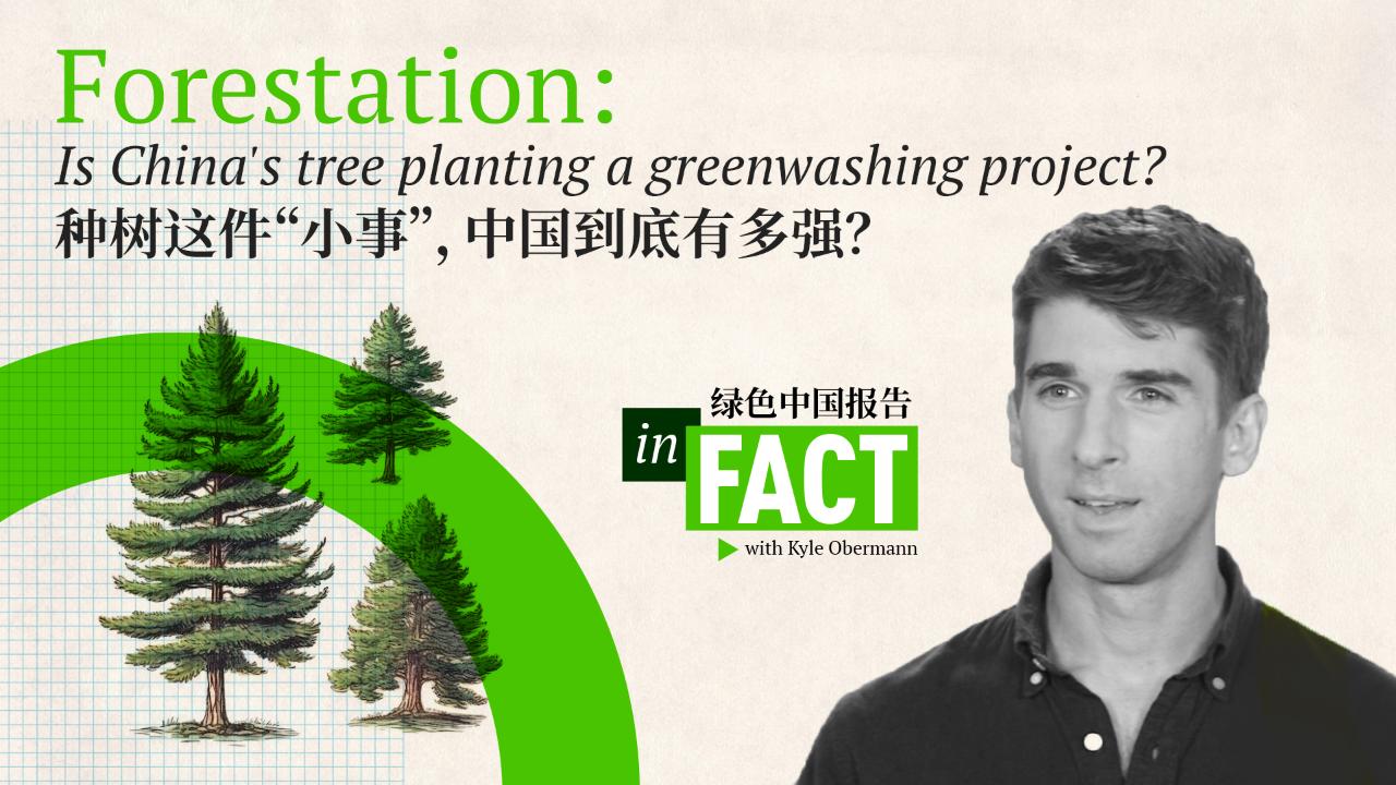 Forestation: Is China’s tree planting a greenwashing project? [Video]