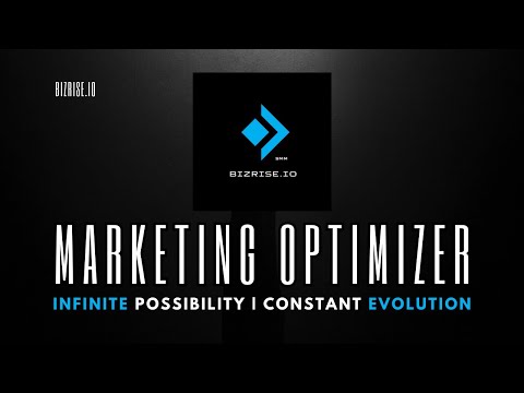 BizRise.io Pro | AI Marketing Optimizer (FlutterFlow Web App) [Video]