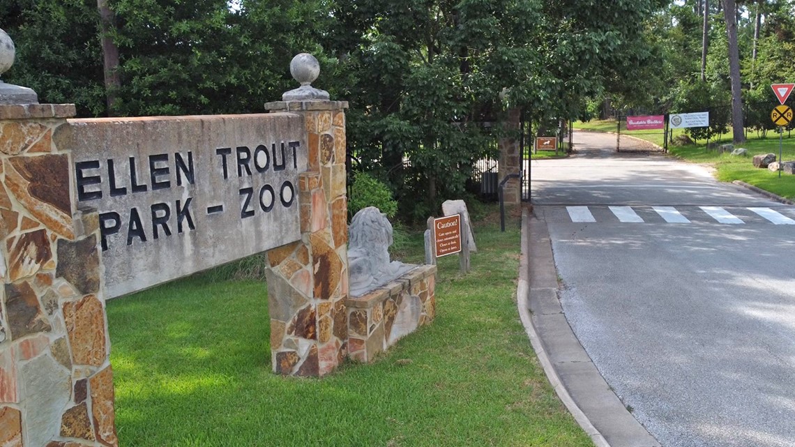 Ellen Trout Zoo director retires after nearly half a century [Video]