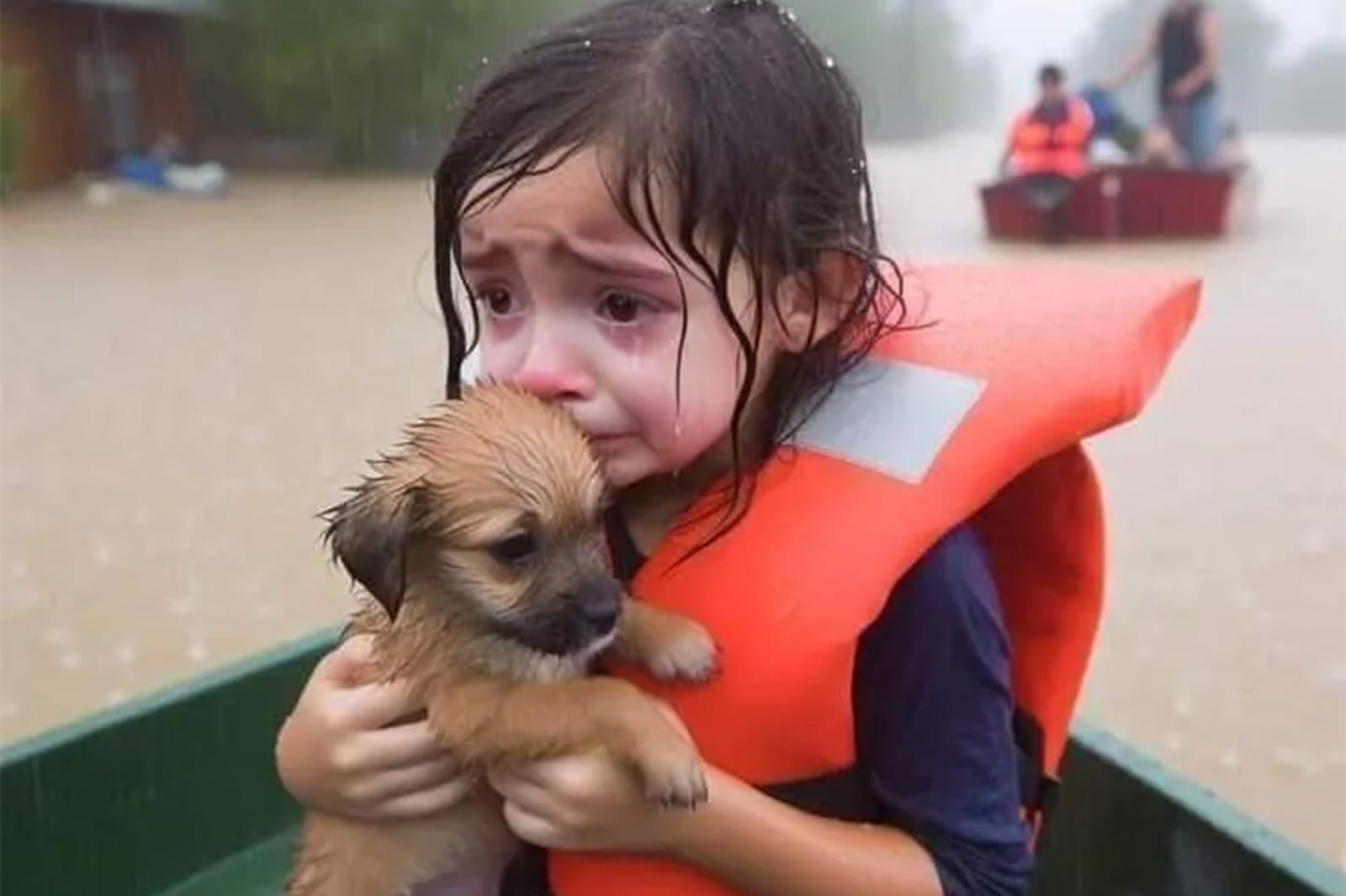 Hurricane Helene: Shocking Fake Images of Child in Floodwaters Fuel Internet Frenzy! [Video]