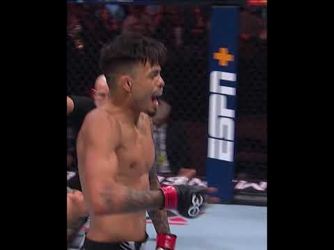 AllFreeFightVideos | FightVideoMMA | UFC – MMA – Mixed Martial Arts Fight Videos Online: That knee was PERFECT