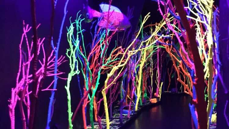 Meow Wolf files lawsuit over alleged copyright [Video]