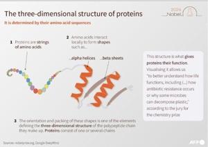 What are proteins again? Nobel-winning chemistry explained [Video]