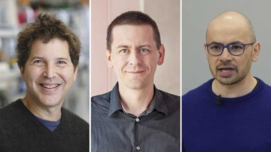 Nobel Prize in chemistry awarded to 3 scientists for work on proteins, building blocks of life [Video]