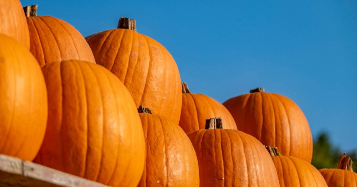 Man wins 115,000 on the lottery thanks to a pumpkin | US News [Video]