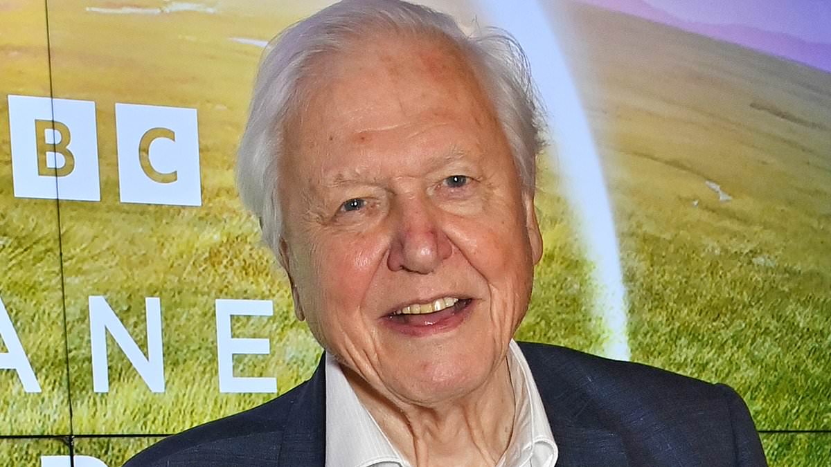 BBC to make major change to David Attenborough’s nature documentaries in the hope of cutting costs and competing with streaming giants [Video]