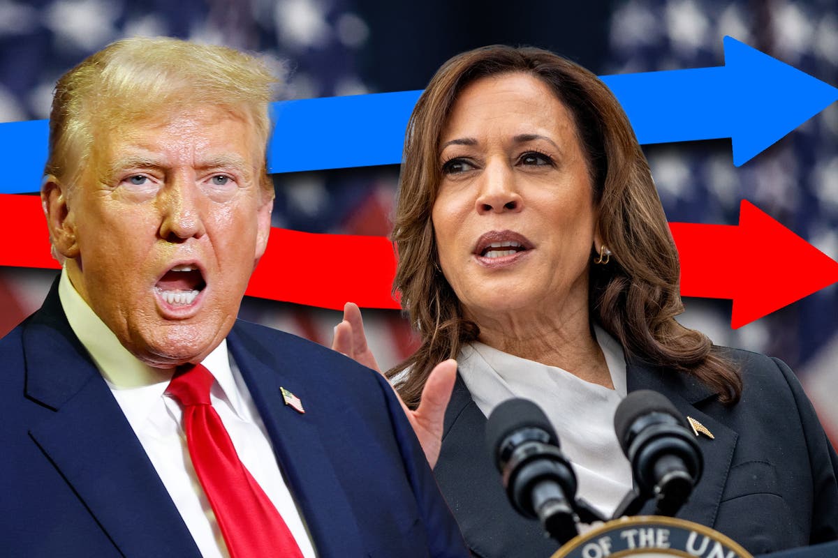 Harris vs Trump: Whos leading in the presidential polls [Video]