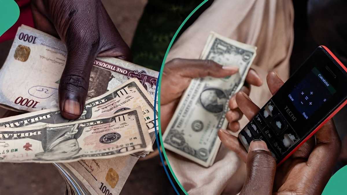 N1,641/$: Naira to Dollar Exchange Rate Records Slight Depreciation [Video]