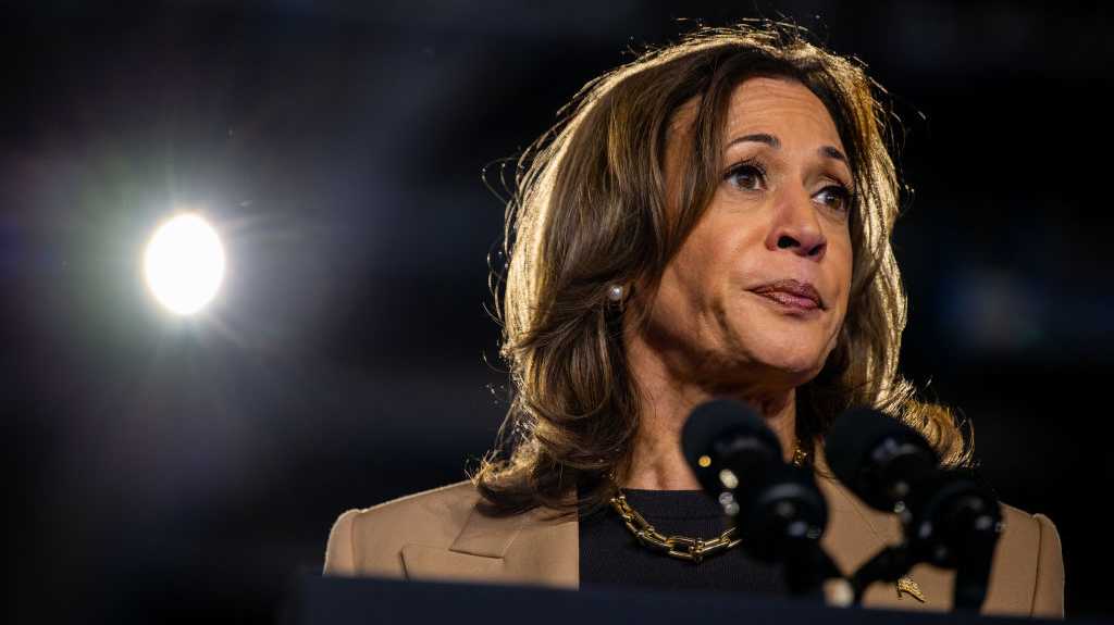 Kamala Harris unveils new proposals targeting Black men [Video]