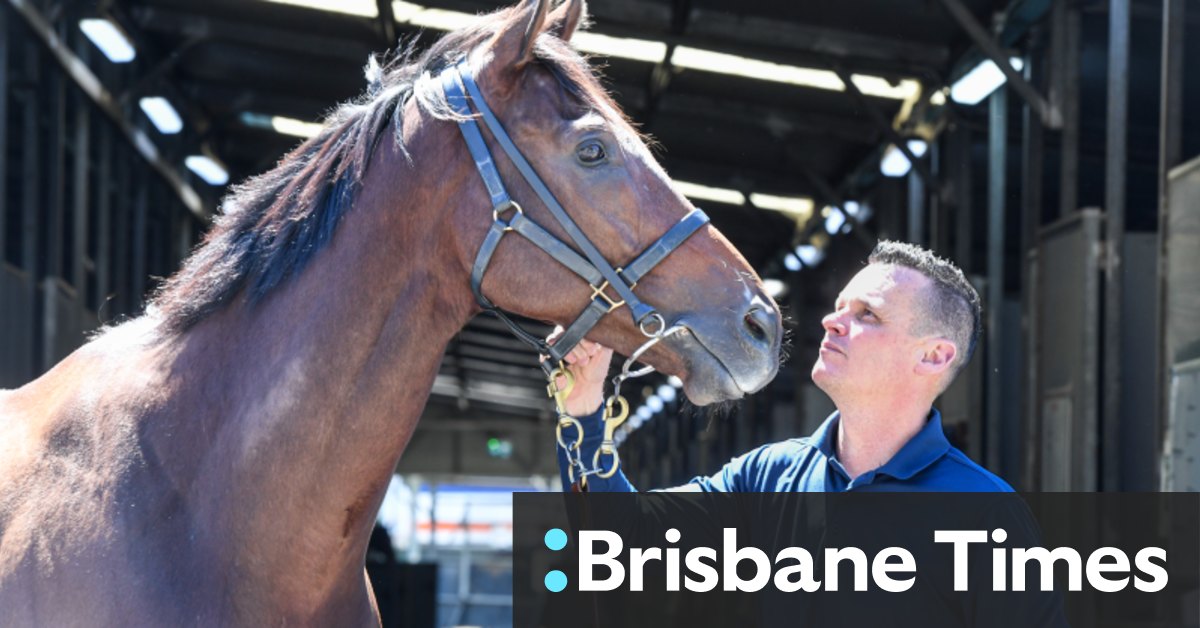 2023 Everest winner Think About It retired, but in good health, after fall at Randwick [Video]