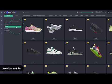 Blueberry AI for E-Commerce Asset Management [Video]